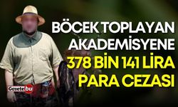 Böcek toplayan akademisyene 378 bin 141 lira para cezası