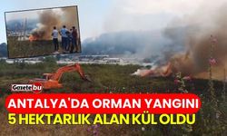 Antalya'da orman yangını: 5 hektarlık alan kül oldu