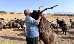 Sattığı kurbanlıklarla duygusal bağ kuran adam yaptıklarıyla gülümsetiyor