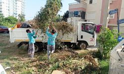 Alanya Belediyesi bayram boyunca 5 bin ton atık topladı.