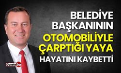 Belediye başkanının otomobiliyle çarptığı yaya hayatını kaybetti