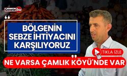 Ne Varsa Çamlık Köyü'nde Var: "Bölgenin Sebze İhtiyacını Karşılıyoruz"