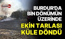 Burdur'da bin dönümün üzerinde ekin tarlası küle döndü