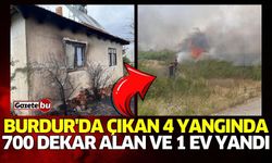 Burdur'da çıkan 4 yangında 700 dekar alan ve 1 ev yandı