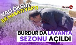 Burdur'da Lavanta Sezonu Açıldı! Vali Öksüz İlk Hasatı Yaptı