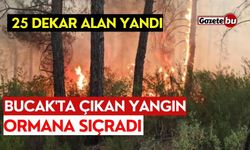 Bucak'ta çıkan yangın ormana sıçradı, 25 dekar alan yandı