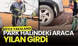 Park halindeki araca yılan girdi, böyle yakalandı