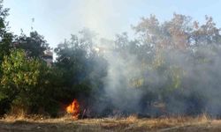 Ağaçlık Alandaki Yangın Hızlı Müdahale ile Kontrol Altına Alındı