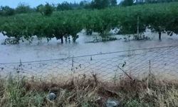 Denizli'de Fırtına ve Dolu Hasara Yol Açtı