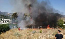 Antalya Kumluca'da Yangın Kontrol Altına Alındı