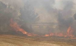 Antalya Aksu'da Orman Yangını Söndürüldü, 5 Hektar Alan Zarar Gördü