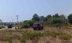 Manavgat'ta Yangın Sönürüldü: Yakın Hatlar Tehlikede Oldu