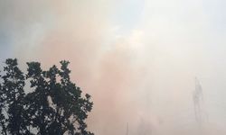Nefes T70 Görevden Dönüşte: Makedonya'daki Yangınlarda 5 Gün Görev Aldı