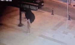 Antalya'da Sokak Köpeği Saldırısı: