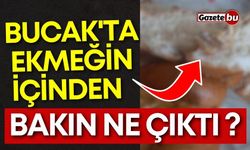 Bucak'ta Ekmeğin İçinden Bakın Ne Çıktı? Vatandaşlardan Tepki!