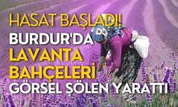 Burdur'da lavanta bahçeleri görsel şölen yarattı