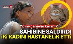 Ev Kedisi Sahibine Saldırdı, İki Kadın Hastanelik Oldu