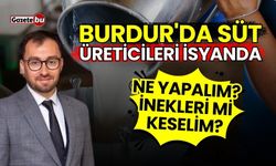Burdur'da süt üreticileri isyanda: "İneklerimizi mi keselim?"
