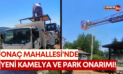 Onaç Mahallesi'nde Yeni Kamelya ve Park Onarımı!