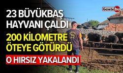 23 büyükbaş hayvanı çaldı, 200 kilometre öteye götürdü!