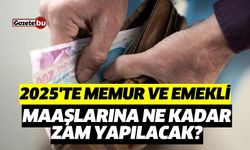 Emekli Maaşınızı %30 Artırabilirsiniz, Peki Nasıl?