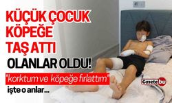 Küçük çocuk köpeğe taş attı, olanlar oldu!