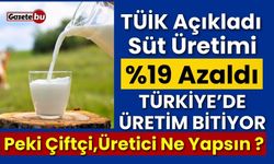 Türkiye'de İçme Sütü Üretimi %19 Azaldı