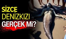 Sizce Videodaki Deniz Kızı Gerçek Olabilir mi?