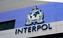 INTERPOL'ün Aradığı Suç Örgütü Lideri Ş. Toptal Yakalandı