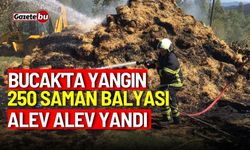 Bucak'ta yangın: 250 saman balyası alev alev yandı