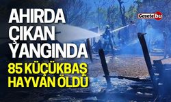 Ahırda çıkan yangında 85 küçükbaş hayvan öldü