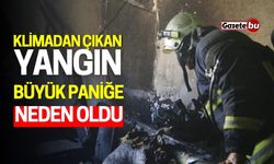 Klimadan Kaynaklanan Yangın Büyük Paniğe Neden Oldu