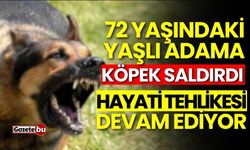 72 yaşındaki adam köpek saldırısına uğradı