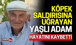 Köpek saldırısına uğrayan yaşlı adam hayatını kaybetti