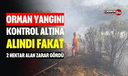 Orman Yangını Kontrol Altına Alındı: 2 Hektar Alan Zarar Gördü