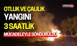 Otluk ve Çalılık Yangını: 3 Saatlik Mücadele ile Söndürüldü