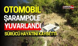 Otomobil Şarampole Yuvarlandı: Sürücü Hayatını Kaybetti