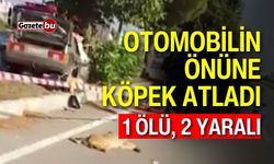 Otomobilin önüne köpek atladı: 1 ölü, 2 yaralı