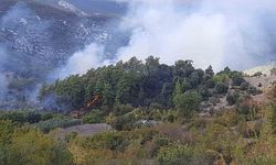 Kumluca’da Orman Yangını, Evi Kullanılamaz Hale Getirdi