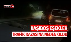 Başıboş Eşekler Trafik Kazasına Neden Oldu