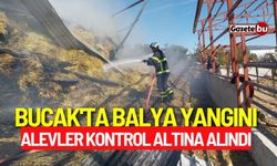 Bucak'ta balya yangını! Alevler kontrol altına alındı