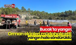 Bucak'ta yangın: Orman ekipleri müdahale etti