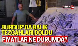 Burdur'da balık tezgahları doldu! Peki fiyatlar ne durumda?