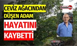 Ceviz Ağacından Düşen Adam Hayatını Kaybetti