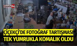 Çiçekçi'de Fotoğraf Tartışması: Tek Yumrukla Komalık Oldu