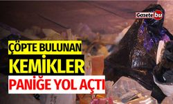 Çöpte Bulunan Kemikler Paniğe Yol Açtı