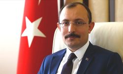 Mehmet Muş Kimdir? Biyografisi ve Hayatı