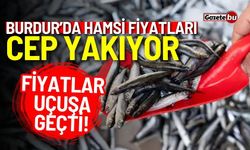 Hamsi fiyatları cep yakıyor! Fiyatlar uçuşa geçti