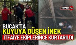 Bucak'ta Kuyuya Düşen Hayvan İtfaiye Ekiplerince Kurtarıldı