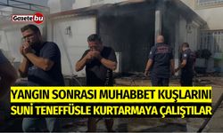 Muhabbet Kuşlarını Suni Teneffüsle Kurtarmaya Çalıştılar